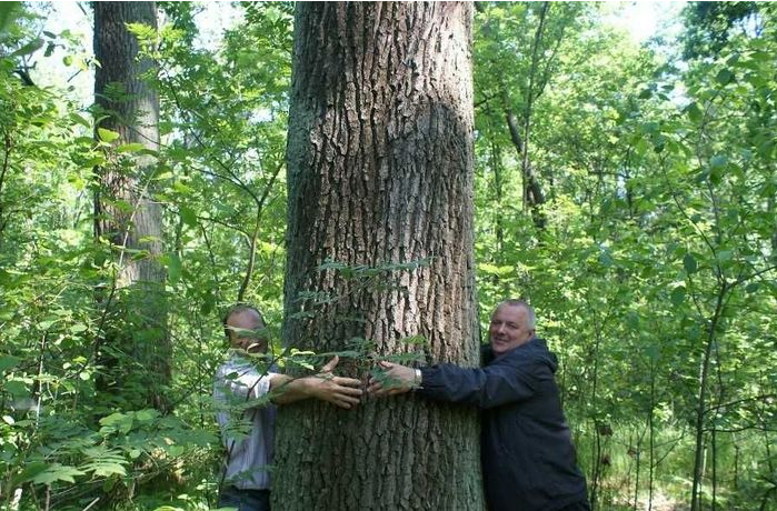 实木家具的特点是不是缺陷！完全没有色差的实木家具你敢要吗？